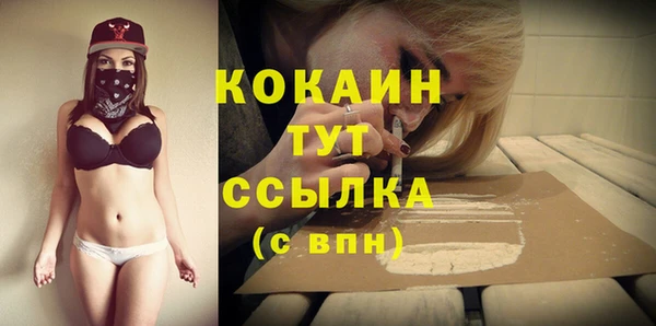 соль ск Верея