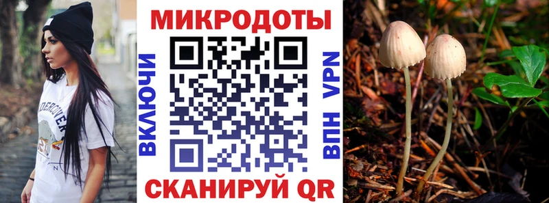 Галлюциногенные грибы MAGIC MUSHROOMS  купить наркотики сайты  мега ссылки  Северодвинск 